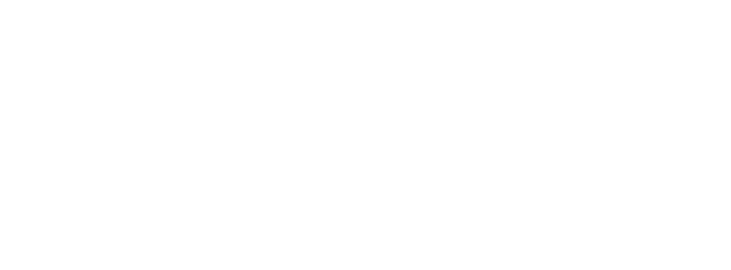 Airolit Logo white